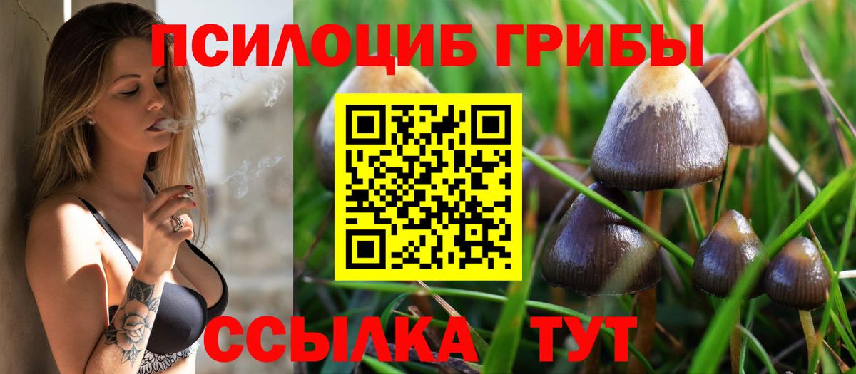 Донецк  Псилоцибиновые грибы ЛСД  Псилоцибиновые грибы Magic Shrooms  Вход с VPN 