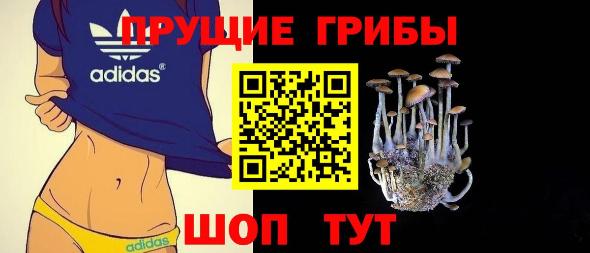 Галлюциногенные грибы Psilocybe Донецк